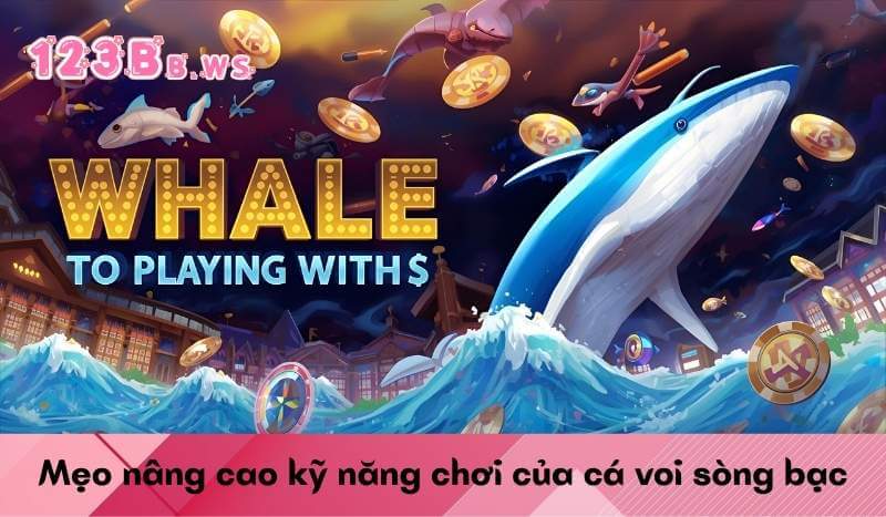 Mẹo nâng cao kỹ năng chơi của cá voi sòng bạc
