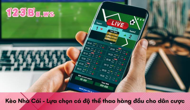Kèo Nhà Cái - Lựa chọn cá độ thể thao hàng đầu cho dân cược